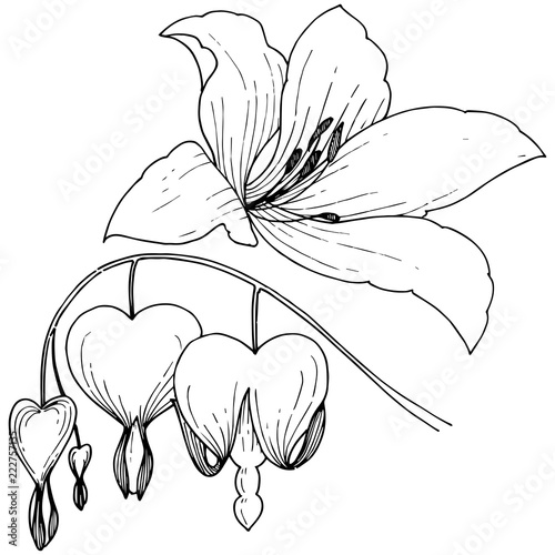 Tropical flower in a vector style. Isolated illustration element. Vector flower for background, texture, wrapper pattern, frame or border.