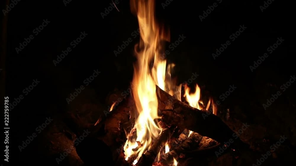 Bonfire at night, close up, nature background
Bonfire at night, close up, nature background