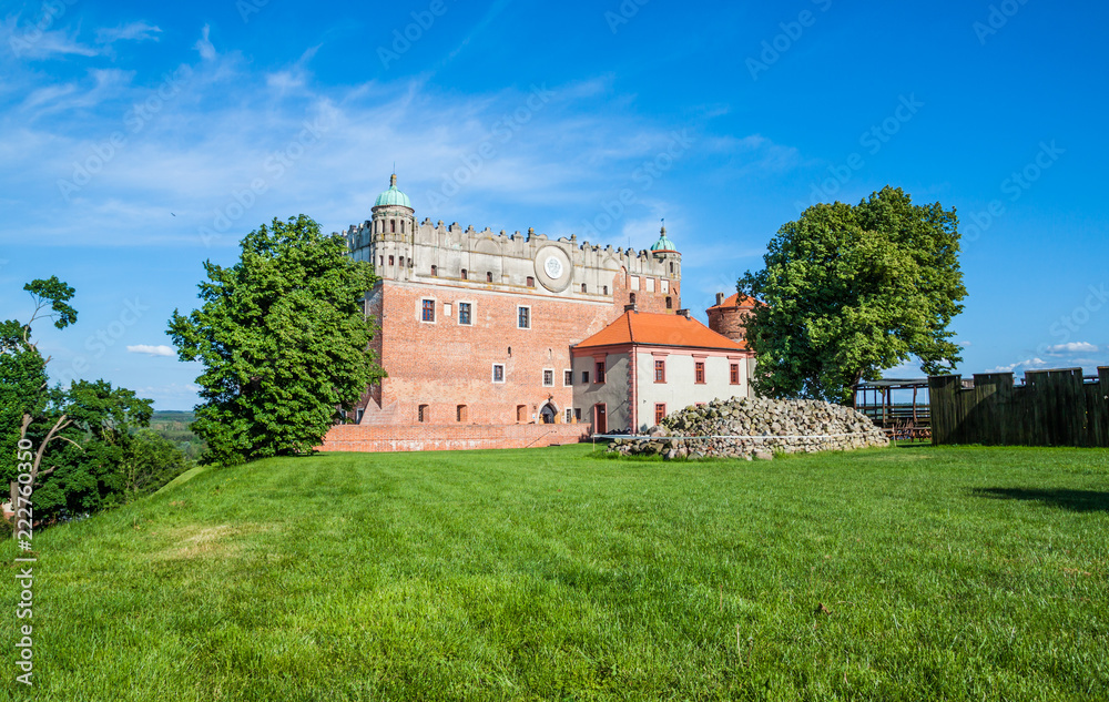 Castle in Golub-Dobrzyn. Poland