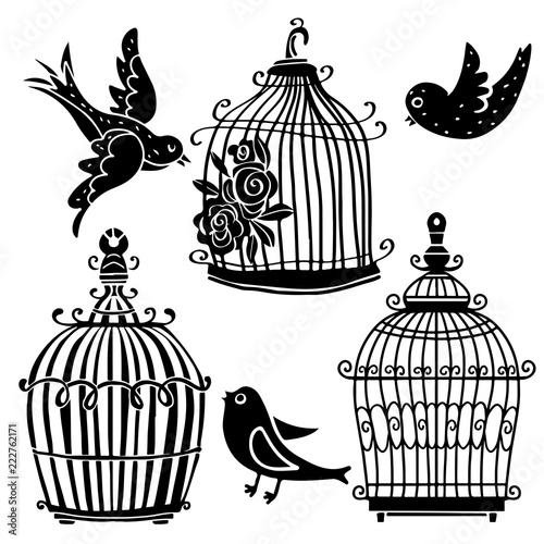 Birds and cages