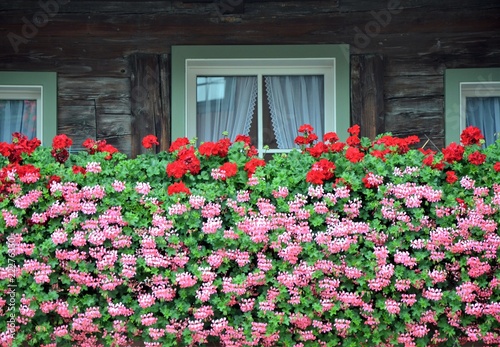 balcony window with flowers