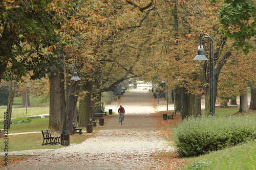 Jesienny park, starodrzew, drzewa z pieknymi kolorowymi liśćmi, szeroką parkową aleją jedzie rowerzysta