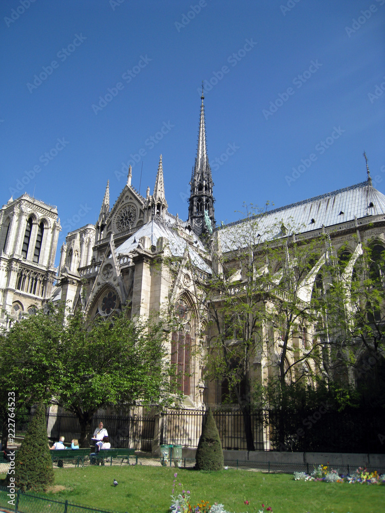 Obraz premium notre dame de paris,