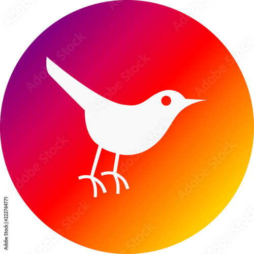 Icono ilustración pajáro