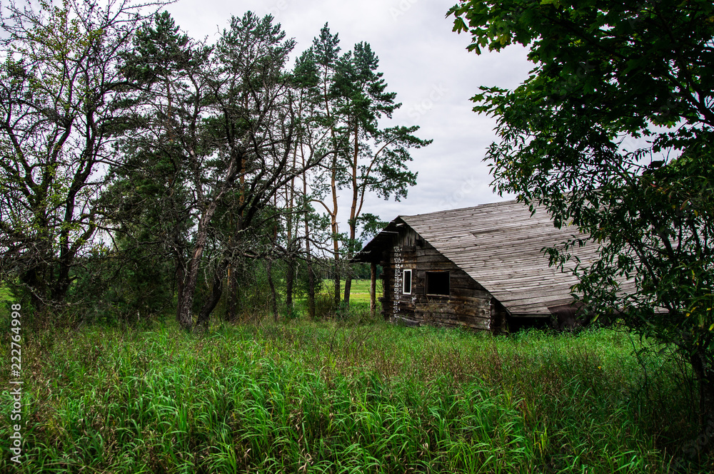Old gloomy abandoned wooden house in the forest Old gloomy abandoned wooden house in the forest