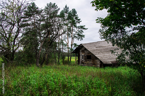 Old gloomy abandoned wooden house in the forest
