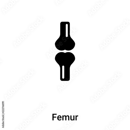 Femur icon vector isolated on white background, logo concept of Femur sign on transparent background, black filled symbol