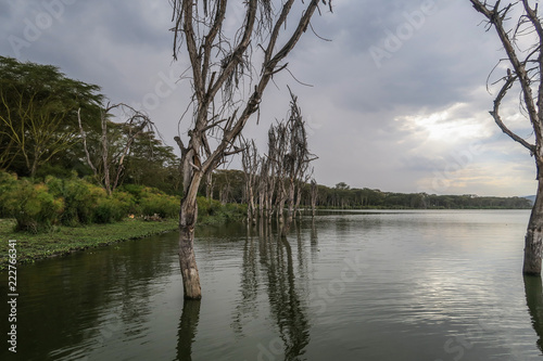 Nature Scene at Lake Victoria in Kenya, Africa