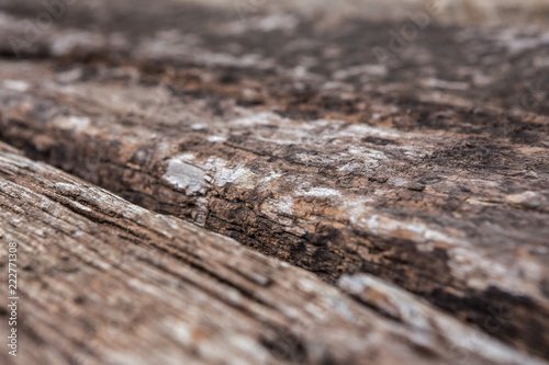 Close up pattern on wood