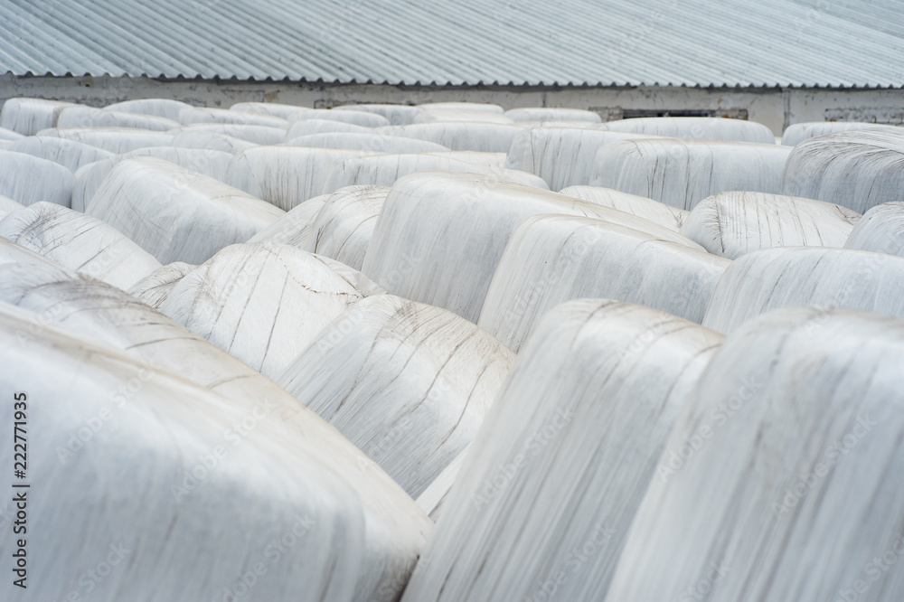 Fototapeta premium Stacked bales of harvested hay wrapped with plastic film at the beginning of the summer season.