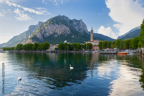 Swans swim on Lake Como in the port of Lecco with mount San Martino in the background