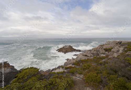 ammirando il mare in sudafrica durante una giornata fredda e ventosa