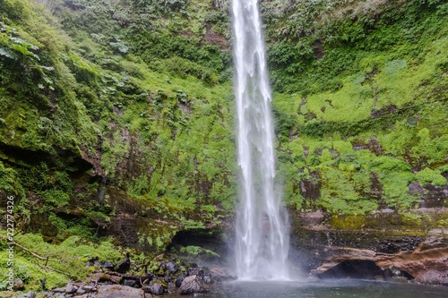 Cascade chute d'eau nature verte à Pucon au Chili paysage naturel