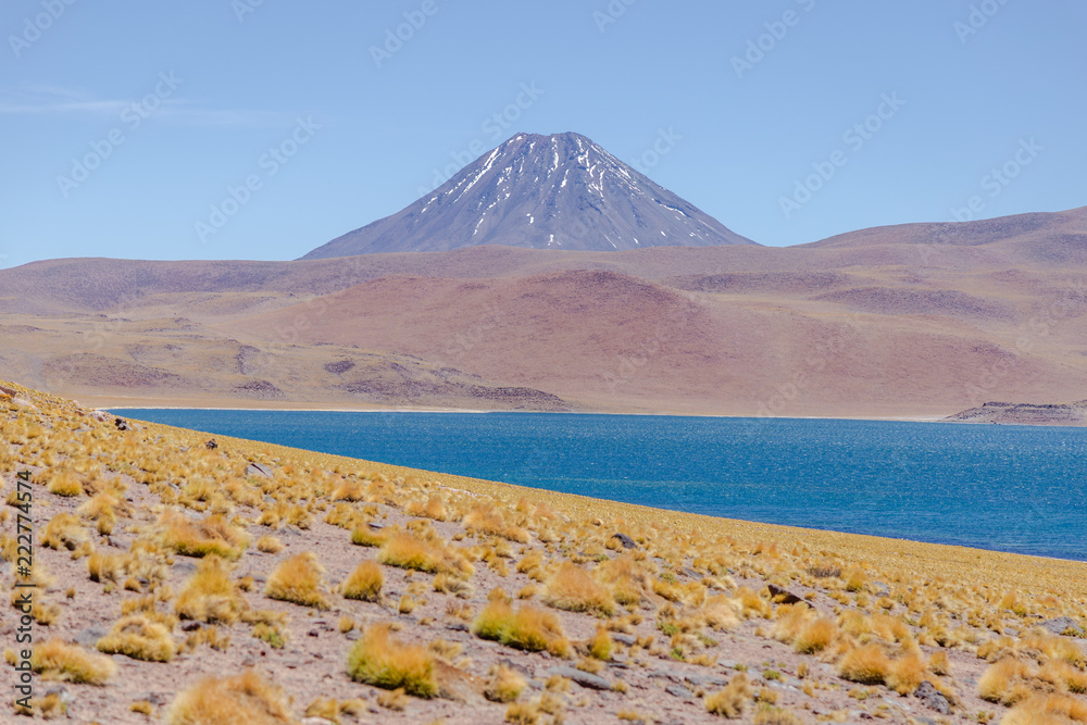 Paysage Lagune Chaxa atacama Chili désertique spectaculaire Altiplano Andes