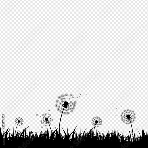 Dandelion Silhouette With Transparent Background