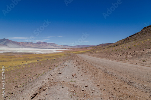 Route d  sertique Altiplano paysage Color  e proche du d  sert d Atacama au Chili voyage d  couverte  trek roadtrip