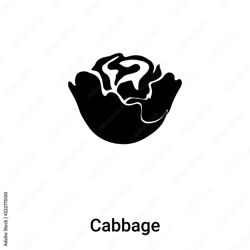 Cabbage icon vector isolated on white background, logo concept of Cabbage sign on transparent background, black filled symbol
