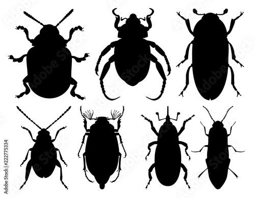 Set of Beetles pests. Colorado beetle, Anisoplia austriaca, Dermestes maculatus, Aphthona, Cockchafer, Weevil, Click beetle. Vector black outline silhouette.