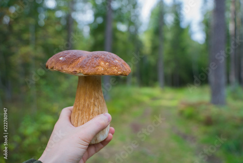 Man holding in his hand a beautiful boletus edulis mushroom.