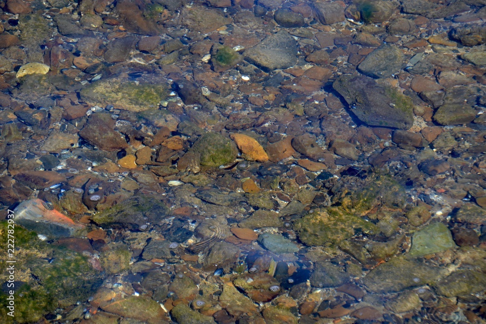 Rockpool seen with colors and small pebbles below ripples of clean clear water Rockpool seen with colors and small pebbles below ripples of clean clear water