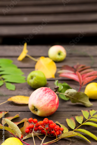 Ripe red Rowan fruits, apples, pears with autumn leaves