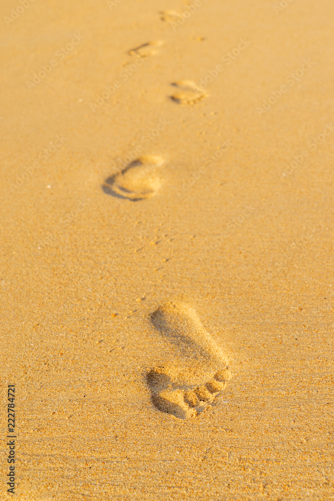woman relaxing walking on sand beach leaving footprints in the sand. woman relaxing walking on sand beach leaving footprints in the sand.