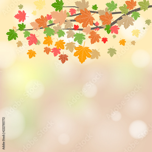 Vector illustration with bokeh. Autumn leaves vector. Autumn maple leaf isolated on white background.