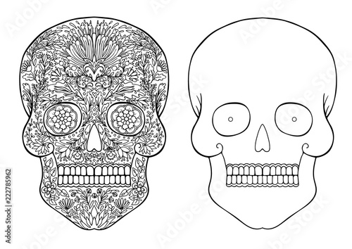decorated with flowers skull and skull contour for drawing