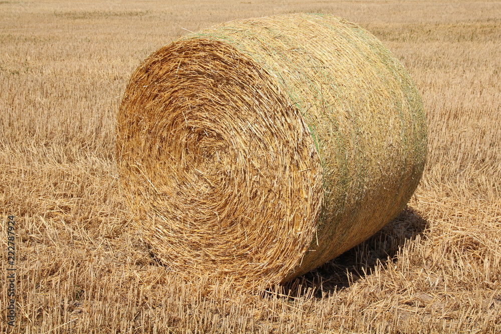 Round bale of straw on a stubble field Round bale of straw on a stubble field