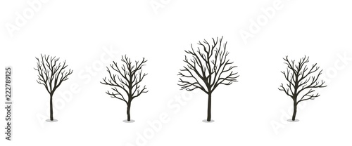 Naked autumn tree set. Flat vector illustration. Isolated on white background.