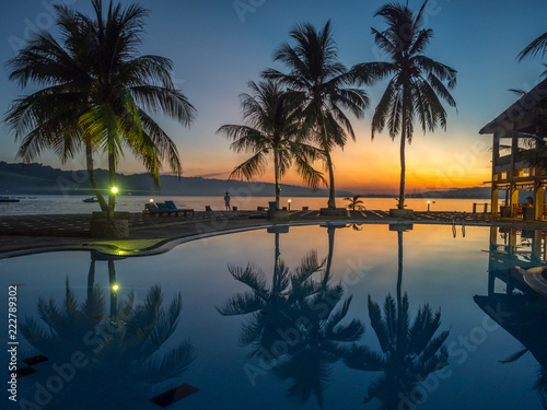 Pool with silhouettes of palm trees