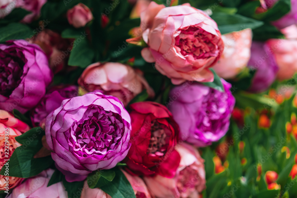 Lot of peonies, close up. Lot of peonies, close up.