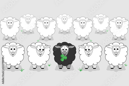 Black sheep surrounded by white sheep