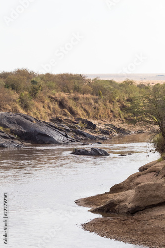 View of the river Mara. Kenya. Africa