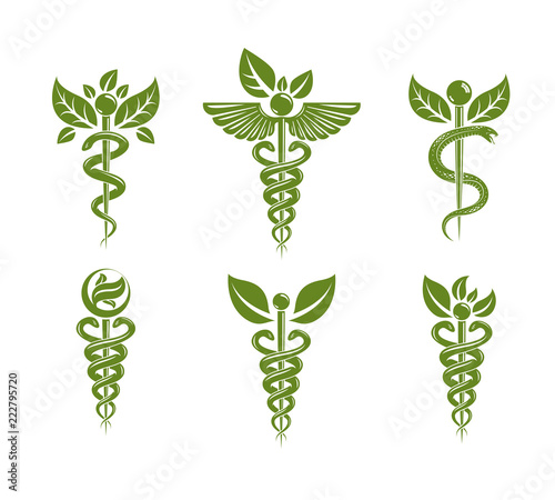 Collection of Caduceus illustrations composed with poisonous snakes and bird wings, healthcare conceptual vector illustrations. Alternative medicine theme.