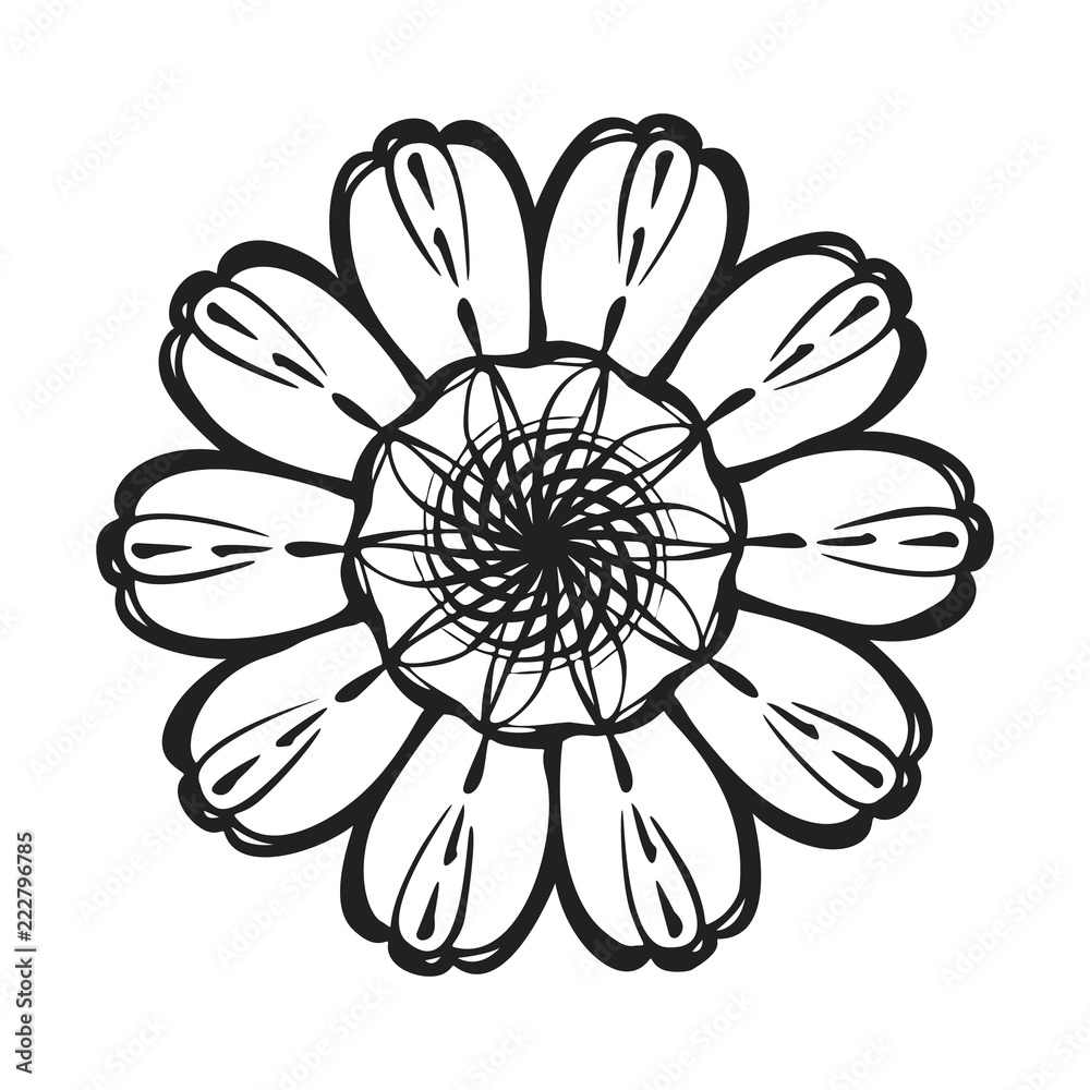 Top view calendula icon. Simple illustration of top view calendula vector icon for web design isolated on white background