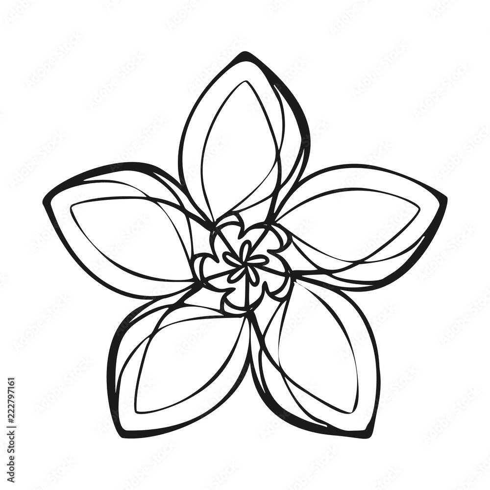 Lily exotic flower icon. Simple illustration of lily exotic flower vector icon for web design isolated on white background Lily exotic flower icon. Simple illustration of lily exotic flower vector icon for web design isolated on white background