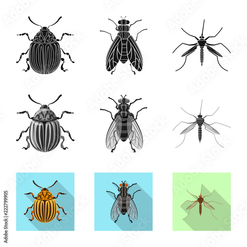 Vector illustration of insect and fly logo. Collection of insect and element stock symbol for web.