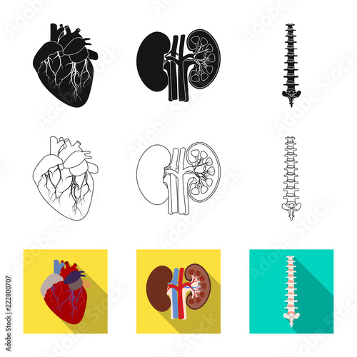 Isolated object of body and human icon. Set of body and medical stock symbol for web.