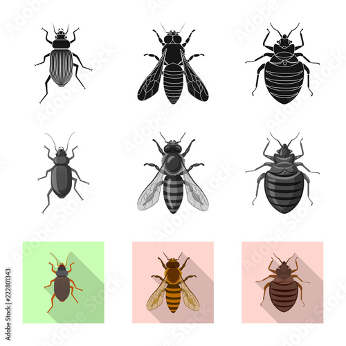 Vector design of insect and fly logo. Collection of insect and element stock vector illustration. © Svitlana