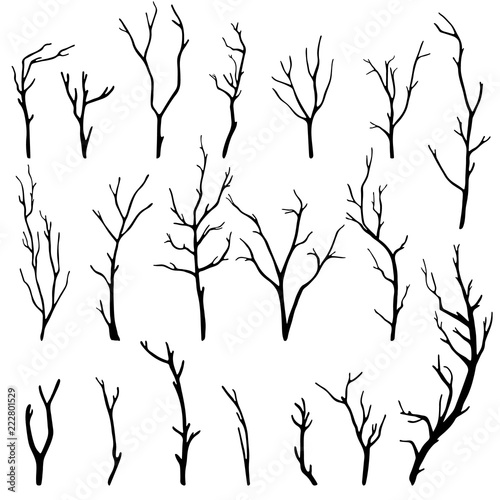 hand-drawn set of twigs