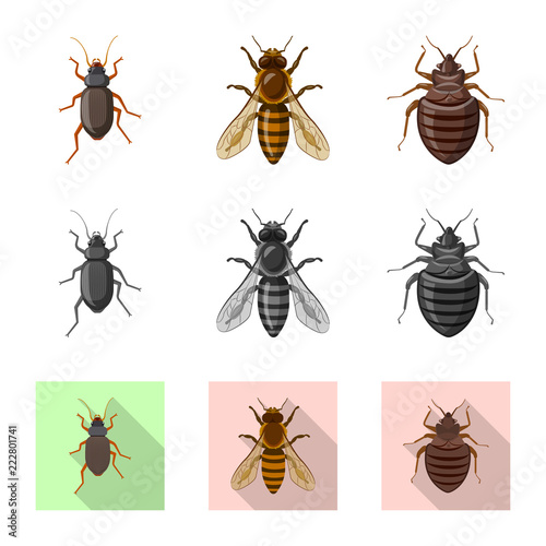 Vector design of insect and fly symbol. Set of insect and element stock vector illustration. © Svitlana