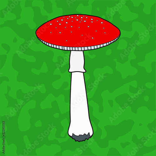 Drawing of a red poisonous mushroom on a green background. The mushrooms are typical of autumn.
