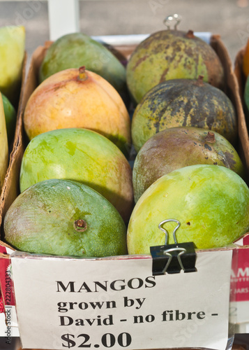 Top view, close distance of eight, freshly picked, ripe mangos on display and for sale at a tropical, farmers market photo