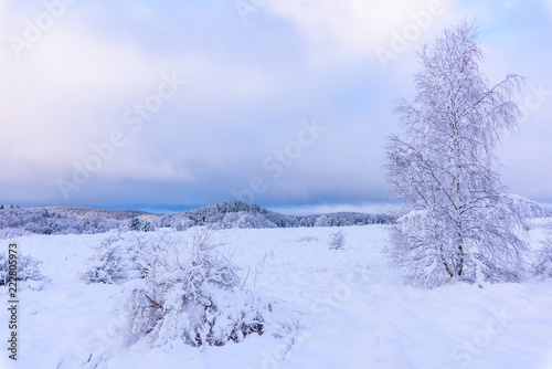 Winter in sweden © magnusbergstroem