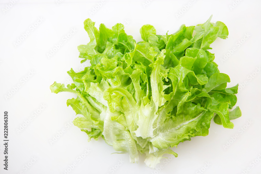 レタス、葉物野菜 レタス、葉物野菜