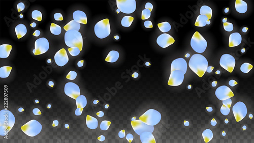 Vector Realistic Blue Petals Falling on Transparent Background.  Spring Romantic Flowers Illustration. Flying Petals. Sakura Spa Design. Blossom Confetti.