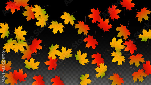 September Vector Background with Golden Falling Leaves. Autumn Illustration with Maple Red  Orange  Yellow Foliage. Isolated Leaf on Transparent Background. Bright Swirl. Suitable for Posters.