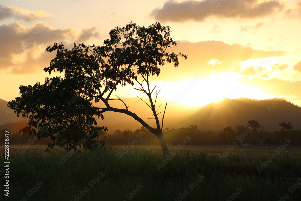 Traumhaft Bilderbuch Sonnenuntergang und Sonnenstrahlen mit Baum und Berge Australien Abendrot
