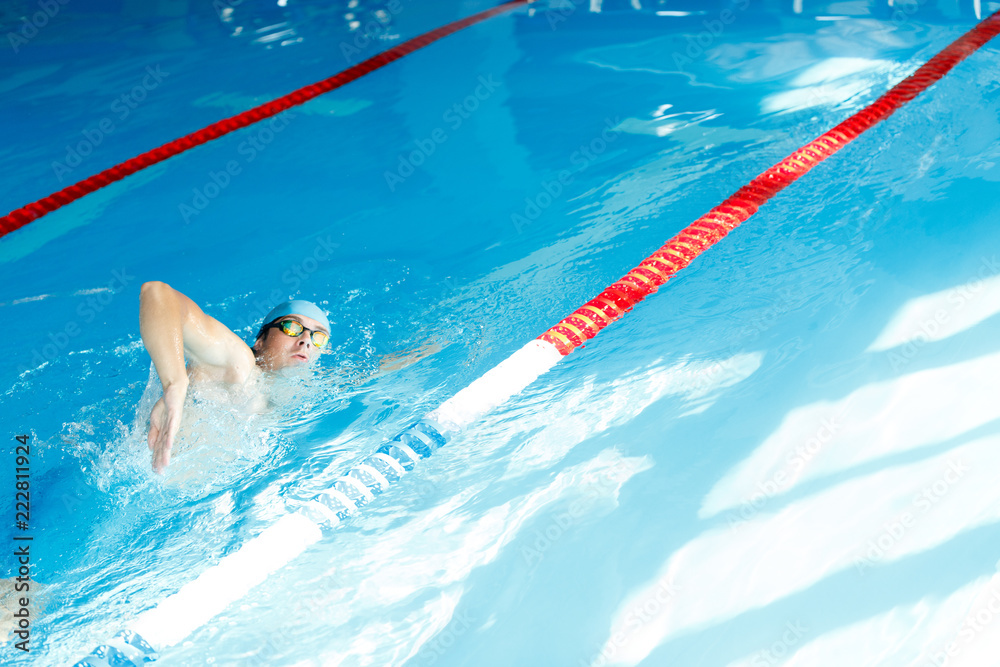 Freestyle swimmer in swimming pool Stock Photo | Adobe Stock